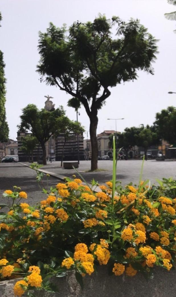 Il Fortino Apartment Catania Bagian luar foto